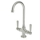 Newport Brass Polished Nickel - Natural Bar or Prep Faucet with Double Lever Handle 
