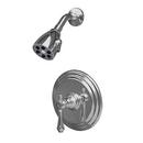 Single Handle Shower Faucet in Polished Nickel - Natural