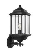Visual Comfort & Co. Generation Lighting Black 100 W 1-Light Medium Outdoor Wall Lantern 