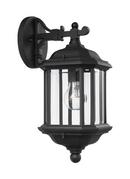6-1/2 in. 100 W 1-Light Medium Outdoor Wall Lantern in Black