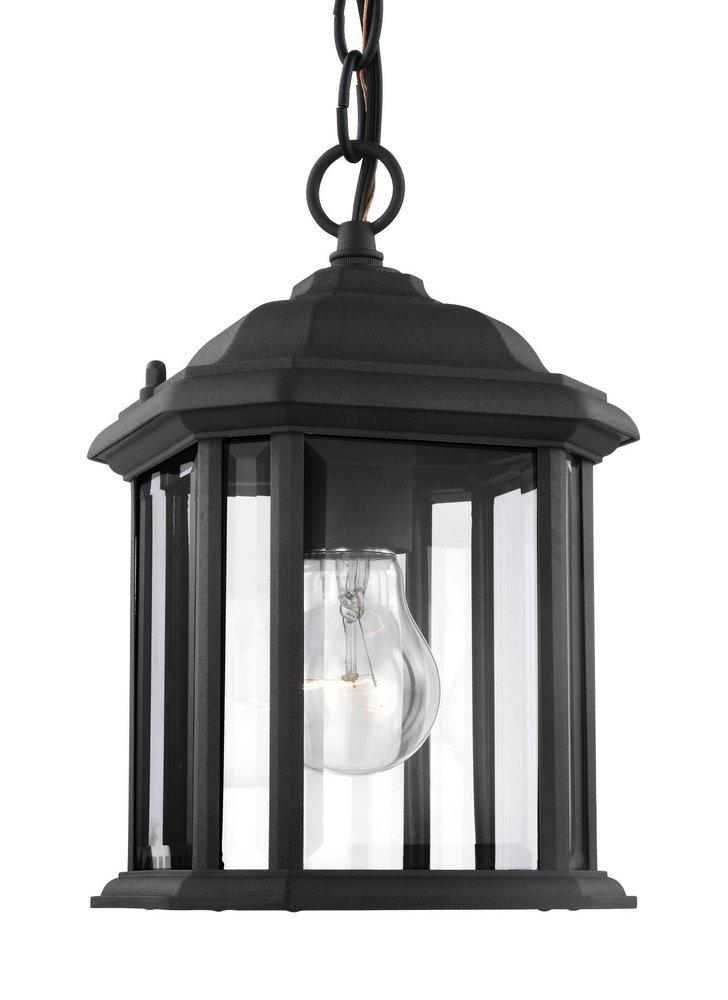 Visual Comfort & Co. Generation Lighting Black 100W 1-Light Outdoor Semi-Flush Convertible Pendant 