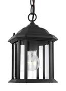 Visual Comfort & Co. Generation Lighting Black 100W 1-Light Outdoor Semi-Flush Convertible Pendant 