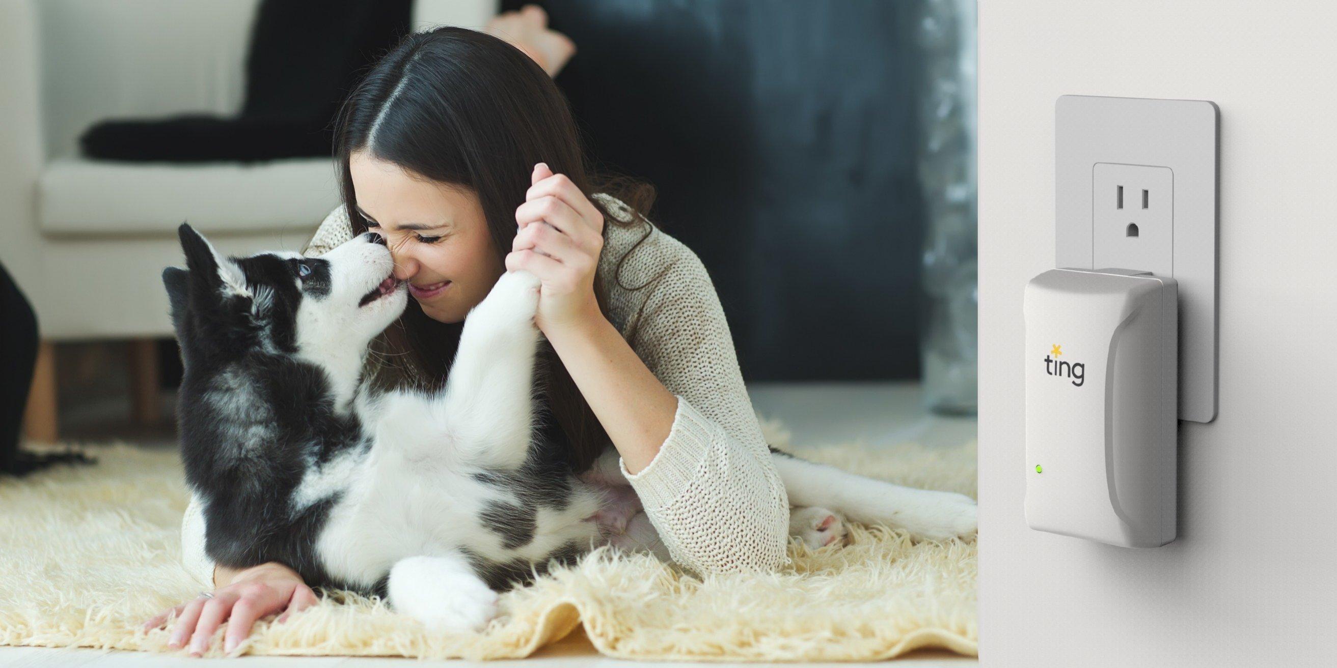 A woman snuggles a husky puppy in her living room that has a Ting sensor plugged in to an electrical outlet.