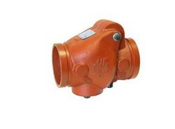 2-1/2 in. Ductile Iron and Rubber Grooved Check Valve
