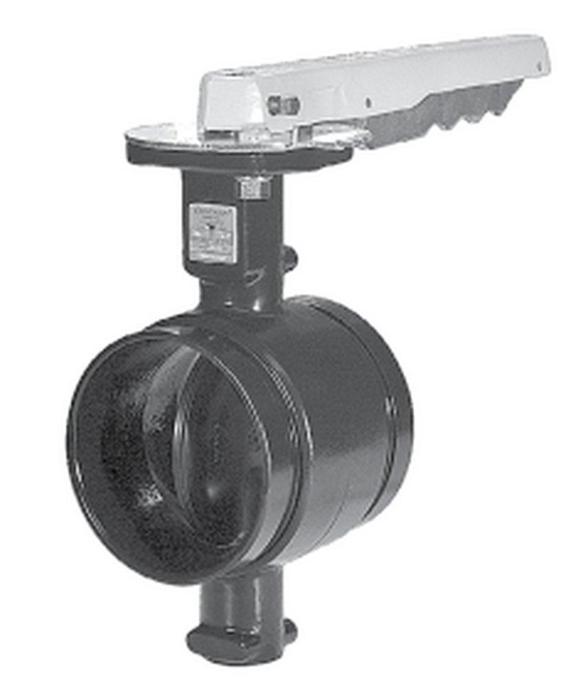 Gruvlok Ductile Iron and Stainless Steel Grooved EPDM Gear Operator Butterfly Valve 