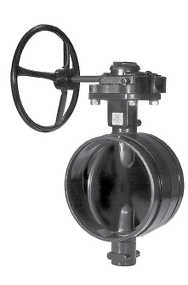 Gruvlok Ductile Iron and Stainless Steel Grooved EPDM Locking Lever Handle Butterfly Valve 