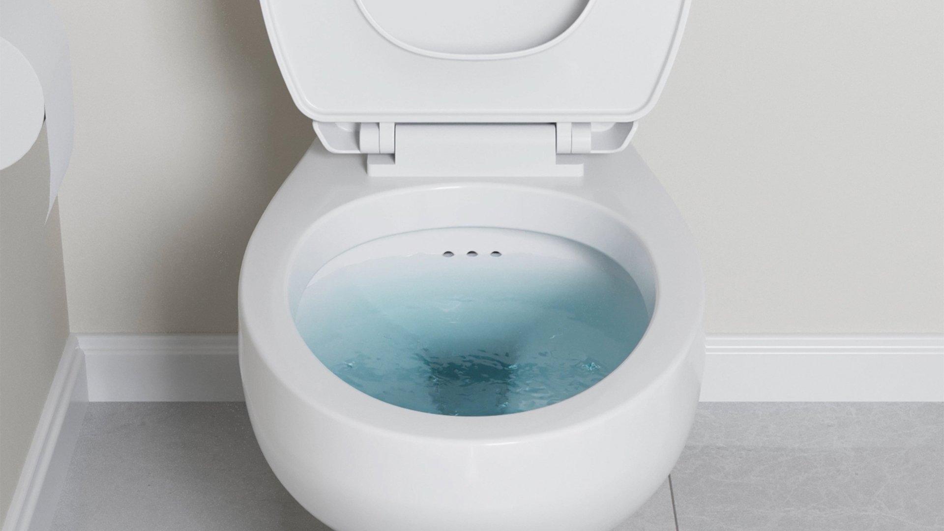2024_PROFLO_7115003_NATL_PF_Web-Banner_PROFLO-Flush-Guard-Launch-AMP-Catalog