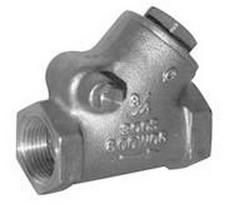 1 in. Cast Bronze FNPT Swing Check Valve
