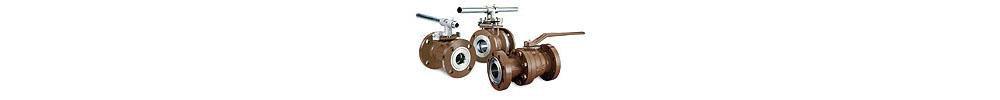 Circor Energy Stainless Steel IPS 2000# Ball Valve 