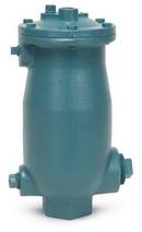 2 in. NPT Cast Iron 150 psi CWP Air Release Valve