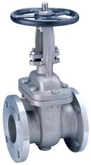 3 in. 316L Stainless Steel Flanged Gate Valve