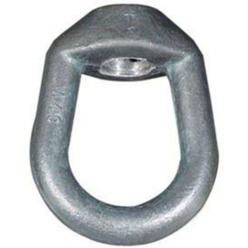 Anvil-Strut Galvanized Forged Steel Eye Nut 