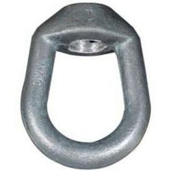 2 in. Forged Steel Eye Nut