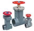 1 in. Plastic FIPT Gate Valve