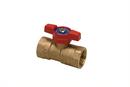 PROFLO&reg; Brass FIPT T-Handle Gas Ball Valve 
