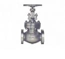 6 in. Carbon Steel Flanged Globe Valve