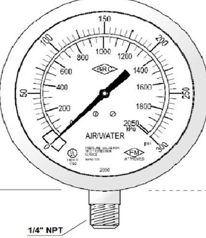 Brecco 300 PSI NPT Air/Water Gauge With Stainless Steel Case 