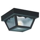 Visual Comfort & Co. Generation Lighting Black 5-1/2 x 10-1/4 in. 60 W 2-Light Medium Outdoor Semi-Flush Mount Ceiling Fixture 