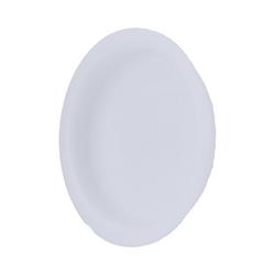 2 in. PVC DWV Test Cap