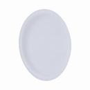 White PVC DWV Test Cap 