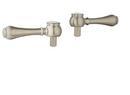 Brass Handle in Polished Nickel