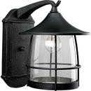 10 in. 100 W 1-Light Medium Wall Lantern in Gilded Iron