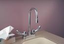 Delta Faucet Chrome Two Handle Kitchen Faucet 