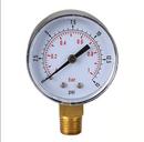 Precision Instruments 2-1/2 x 1/4 in. Low Cost Utility Pressure Gauge 