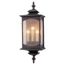 Visual Comfort & Co. Generation Lighting Oil Rubbed Bronze 180 W Wall Mount Lantern 