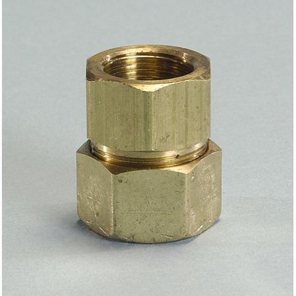 Omega Flex FNPT Straight Female Pipe Fitting 