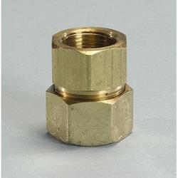 3/4 in. FNPT Straight Female Pipe Fitting