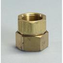 1 in. FNPT Straight Female Pipe Fitting