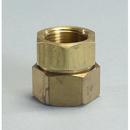 Omega Flex FNPT Straight Female Pipe Fitting