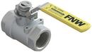 FNW&reg; Stainless Steel Full Port NPT 2000# Ball Valve 