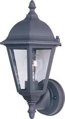 15 x 8 in. 100W 1-Light Outdoor Wall Lantern in Black