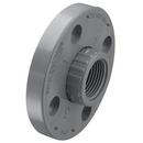 Grey FIPT Schedule 80 Van Stone Style CPVC Flange with Ring 