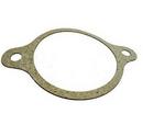 1 in. IPS x CTS Adapter Gasket