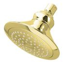 1-Function Wall Mount Showerhead in Vibrant Polished Brass