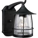 1 Light 100W Outdoor Wall Lantern Gilded Iron