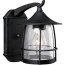 Progress Lighting Gilded Iron 1 Light 100W Outdoor Wall Lantern 
