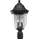 60W 2-Light Outdoor Post Lamp in Textured Black