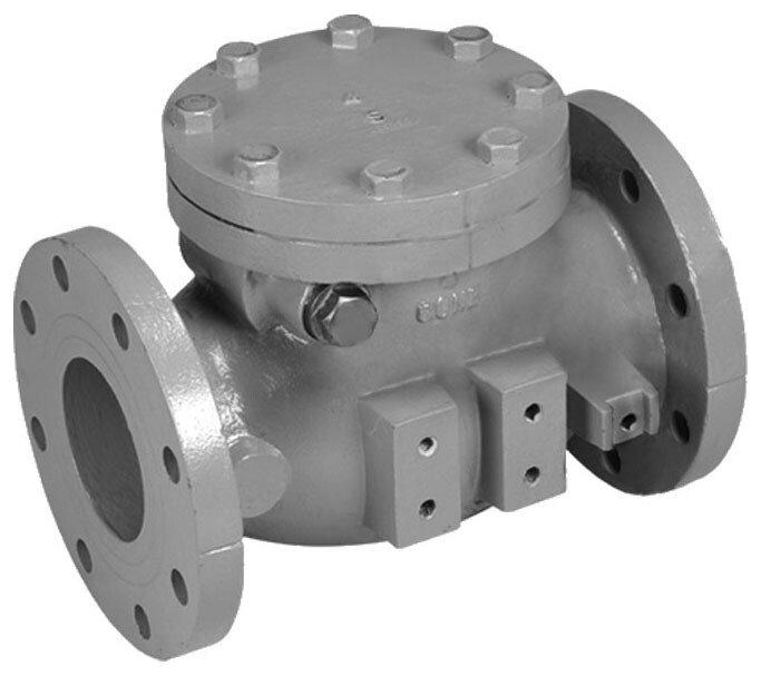 Mueller Company Cast Iron Flanged Swing Check Valve 