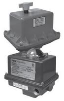 FNW&reg; 300 # 120 Vac Electric Actuator 