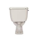 Zurn White 1.6 gpf Elongated Two Piece Toilet 