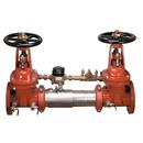 Watts Stainless Steel Stainless Steel Flanged Backflow Preventer 