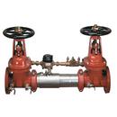 Watts Stainless Steel Stainless Steel Flanged Backflow Preventer 