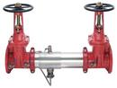 2-1/2 in. Stainless Steel Flanged 175 psi Backflow Preventer