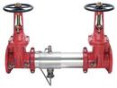 Watts Stainless Steel Stainless Steel Flanged 175 psi Backflow Preventer 