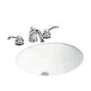 19-5/8 x 17-1/4 in. Oval Undermount Bathroom Sink in White