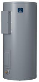 State White Electric Specialty Water Heater 